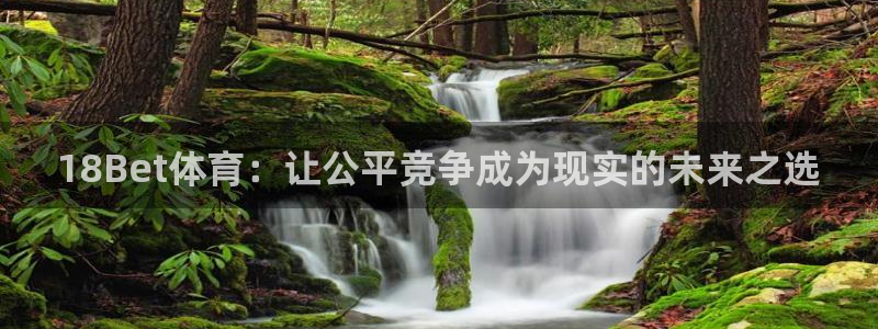 18Bet体育：让公平竞争成为现实的未来之选