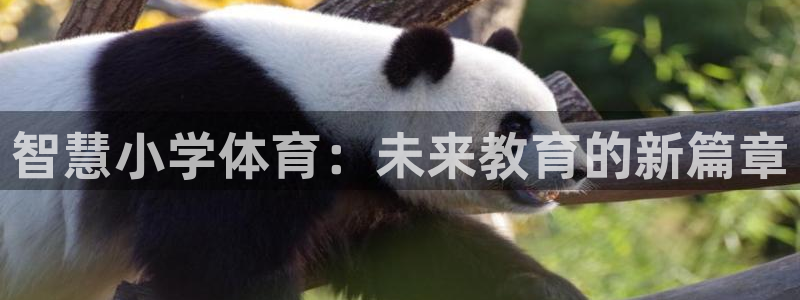 智慧小学体育：未来教育的新篇章