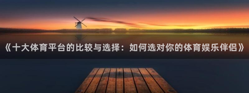《十大体育平台的比较与选择：如何选对你的体育娱乐伴侣》