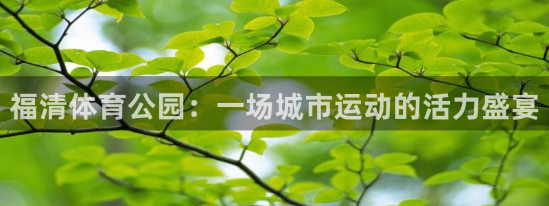 福清体育公园：一场城市运动的活力盛宴