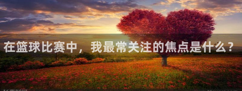 500网官网入口