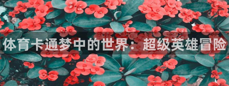 500开奖公告
