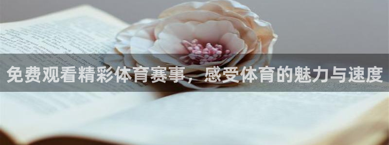 500足球比赛比分结果