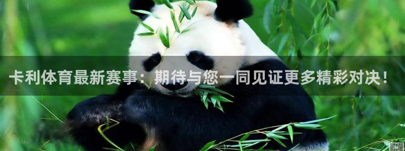 足球实时比分500万：卡利体育最新赛事：期待与您一同见证更多精彩对决！