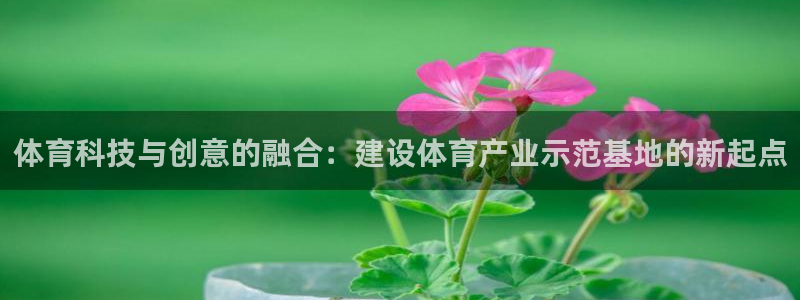 500体育app专业版：体育科技与创意的融合：建设体育产业示范基地的新起点