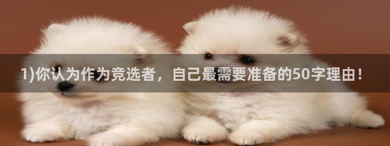 足球比分-即时比分500