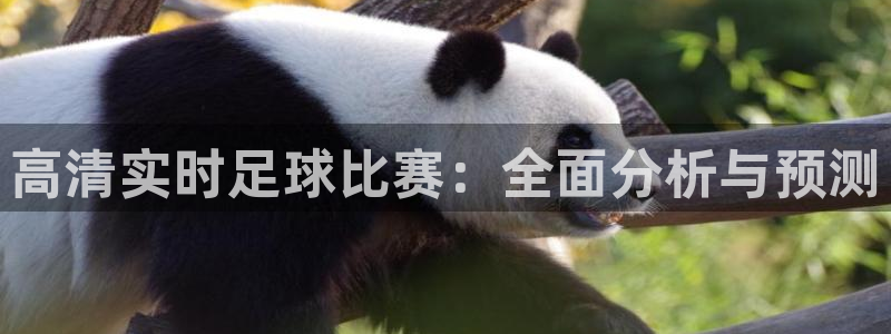 500足球比分彩：高清实时足球比赛：全面分析与预测